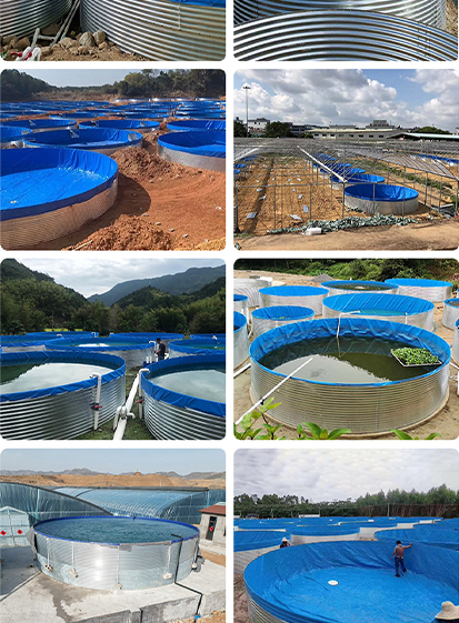 Corrugated Steel Water Tank – Durable, Versatile, and Cost-Effective Water Storage Solution